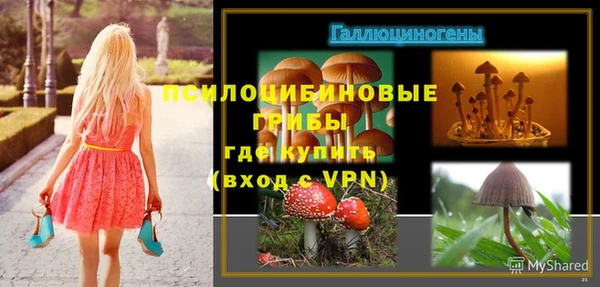 мдма Вяземский