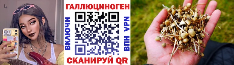 Галлюциногенные грибы Magic Shrooms Петухово